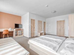 Prodej ubytování, Slezské Rudoltice, 498 m2
