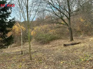 Prodej pozemku pro bydlení, Benešov, 1835 m2