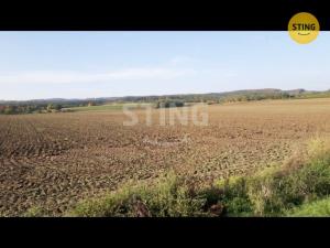 Prodej zemědělské půdy, Plumlov - Hamry, 13377 m2