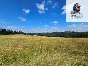 Prodej pozemku pro bydlení, Kořenec, 119009 m2