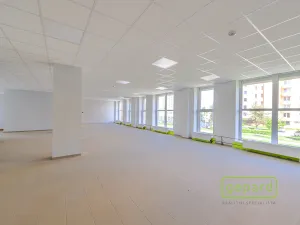 Prodej obchodního prostoru, České Budějovice, Dr. Bureše, 1032 m2