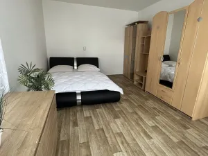 Pronájem bytu 1+1, Skalice u České Lípy, 40 m2
