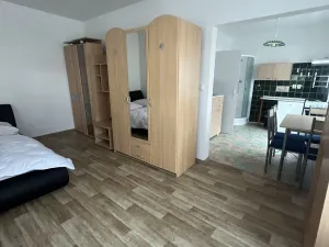 Pronájem bytu 1+1, Skalice u České Lípy, 40 m2