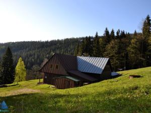 Prodej chalupy, Špindlerův Mlýn - Labská, 450 m2