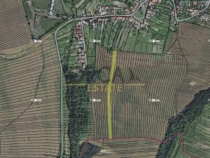 Prodej zemědělské půdy, Vřesovice, 1646 m2