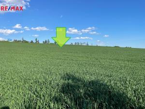 Prodej zemědělské půdy, Bystročice, 7076 m2