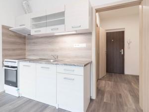 Pronájem bytu 1+kk, Olomouc, Wolkerova, 30 m2