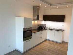 Pronájem bytu 2+kk, Pardubice - Zelené Předměstí, Pod Vinicí, 63 m2