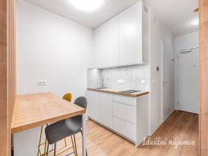 Pronájem bytu 1+kk, Praha - Břevnov, Na Větrníku, 27 m2