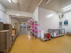 Prodej výrobních prostor, Těmice, 2178 m2