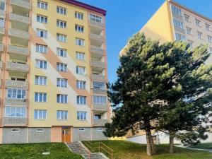 Prodej bytu 2+1, Chomutov, Skalková, 60 m2