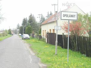 Prodej pozemku pro bydlení, Opolany, 3801 m2