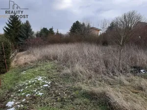 Prodej trvalého travního porostu, Chbany, 585 m2