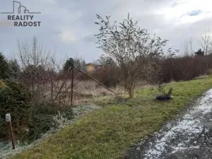 Prodej trvalého travního porostu, Chbany, 585 m2