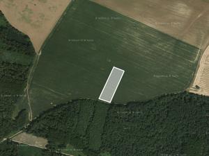 Prodej podílu zemědělské půdy, Mutěnice, 1382 m2