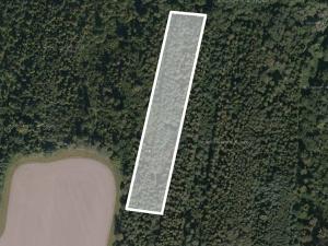 Prodej lesa, Tísek, 5197 m2