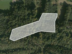 Prodej lesa, Třinec, 11813 m2