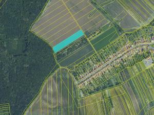 Prodej zemědělské půdy, Letonice, 2484 m2