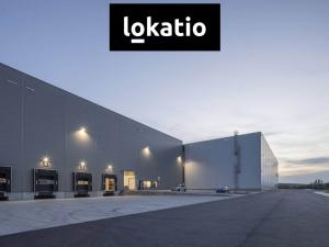 Pronájem skladu, Ostrava, 14247 m2