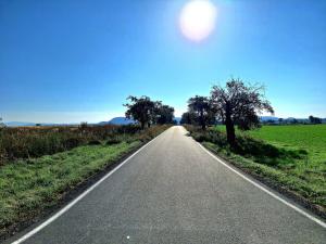 Prodej zemědělské půdy, Mnichovo Hradiště - Sychrov, 140145 m2