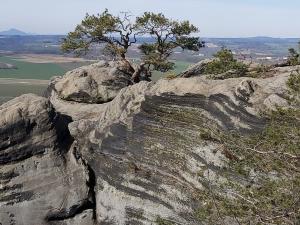 Prodej zemědělské půdy, Mnichovo Hradiště - Sychrov, 140145 m2