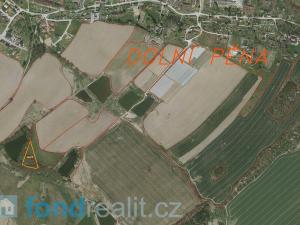 Prodej pozemku, Dolní Pěna, 4291 m2