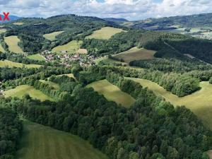 Prodej trvalého travního porostu, Metylovice, 12132 m2