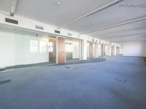 Pronájem kanceláře, Praha - Karlín, Pobřežní, 239 m2