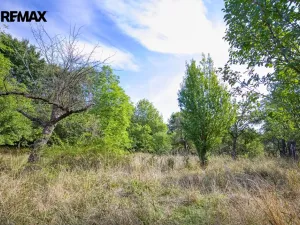 Prodej pozemku pro bydlení, Březnice, 2661 m2