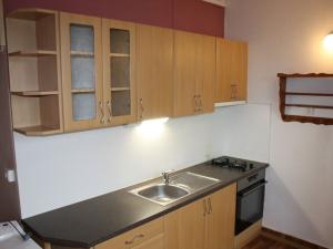 Prodej bytu 2+1, Teplice - Řetenice, Duchcovská, 50 m2