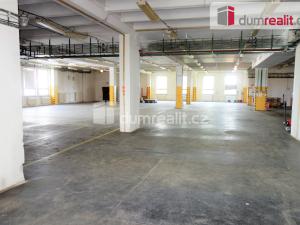 Prodej výrobních prostor, Velké Němčice, 13349 m2