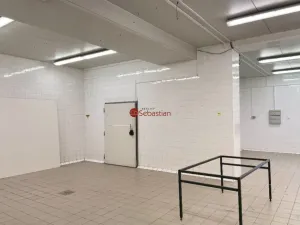 Pronájem výrobních prostor, Jičín - Valdické Předměstí, Dělnická, 178 m2
