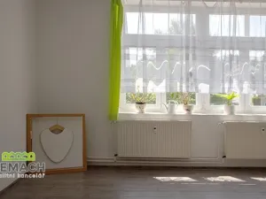 Pronájem obchodního prostoru, Náchod, Smiřických, 1100 m2
