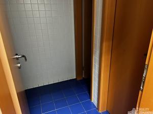 Pronájem kanceláře, Praha - Michle, Nuselská, 34 m2