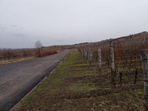 Prodej sadu/vinice, Bavory, 12285 m2