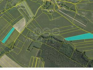 Prodej trvalého travního porostu, Strážov - Lehom, 55426 m2