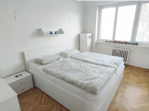 Prodej bytu 2+1, Ústí nad Labem - Střekov, Na Pile, 54 m2