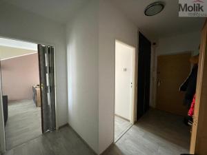 Pronájem bytu 2+1, Bílina - Pražské Předměstí, Aléská, 48 m2