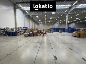 Pronájem skladu, Pavlov, Logistická, 1000 m2