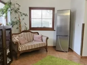 Prodej rodinného domu, Bor - Ostrov, Ostrov, 159 m2