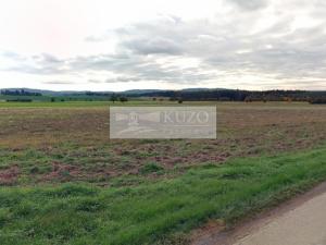 Prodej zemědělské půdy, Nová Ves pod Pleší, 45295 m2