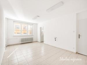 Pronájem bytu 1+1, Praha - Břevnov, Heleny Malířové, 35 m2