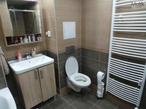 Pronájem bytu 2+1, Litvínov - Horní Litvínov, Ladova, 45 m2
