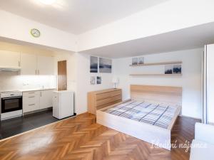 Pronájem bytu 1+kk, Praha - Karlín, Sokolovská, 31 m2