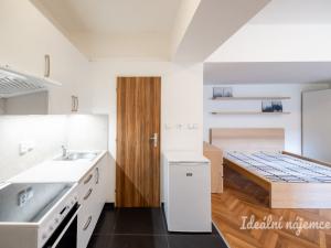 Pronájem bytu 1+kk, Praha - Karlín, Sokolovská, 31 m2