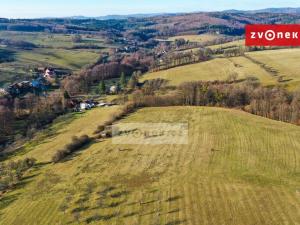 Prodej zemědělské půdy, Vizovice - Chrastěšov, 17696 m2