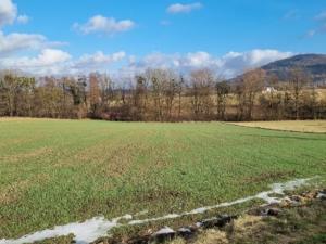 Pronájem zahrady, Štramberk, 800 m2