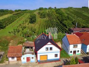 Prodej ubytování, Bořetice, 183 m2