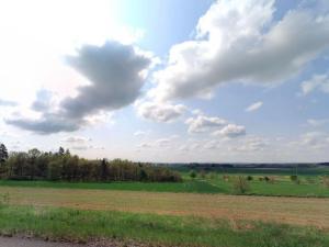 Prodej zemědělské půdy, Probulov, 39825 m2