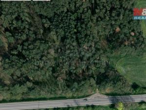 Prodej lesa, Bohušovice nad Ohří - Hrdly, 33600 m2
